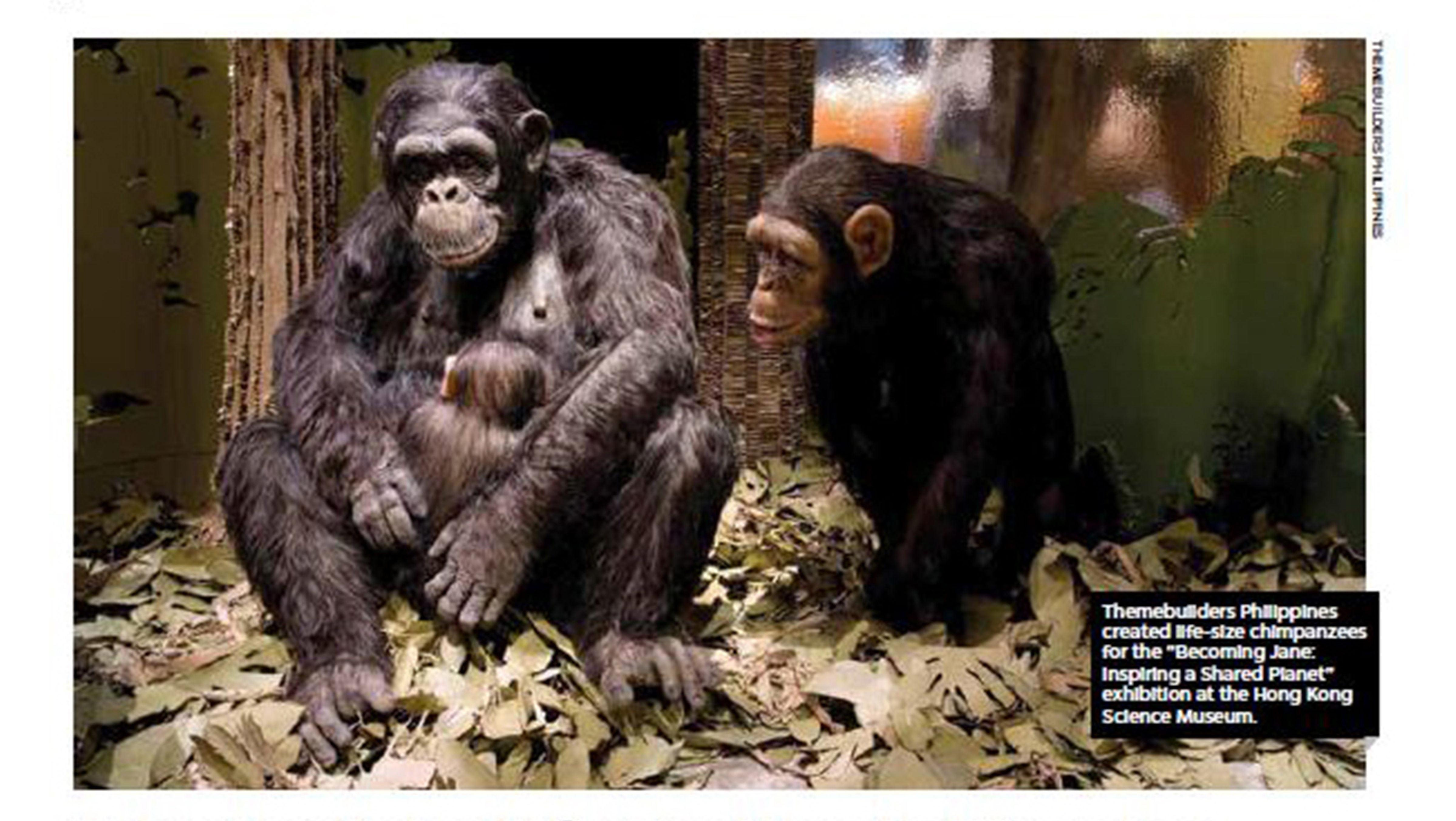 Themebuilders Chimpanzee Life-size Figures Resin