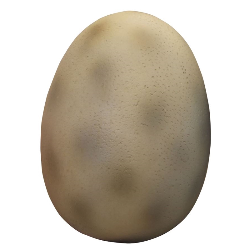 Dino Egg (Small)2.
